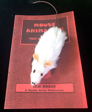 Mouse Animation With Book