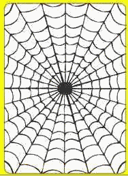 Adairs Scampering Spider