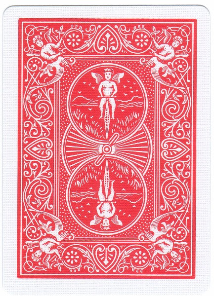 Spare Bicycle Cards