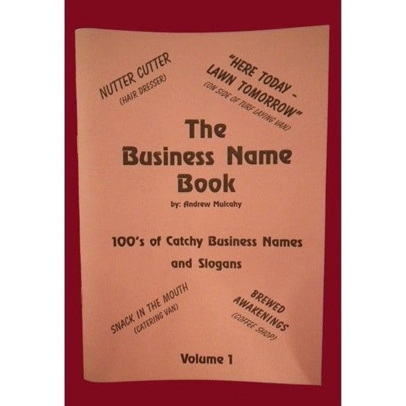 The Business Name Book (Paperback)